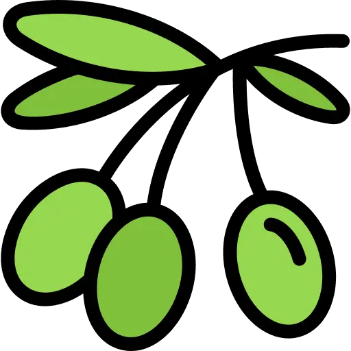 Medjool